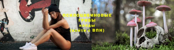 герыч Бородино