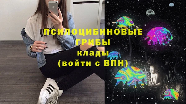 ПСИЛОЦИБИНОВЫЕ ГРИБЫ Бронницы