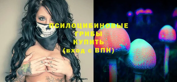 герыч Бородино