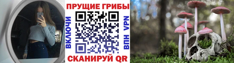 Псилоцибиновые грибы мухоморы  как найти   Енисейск 